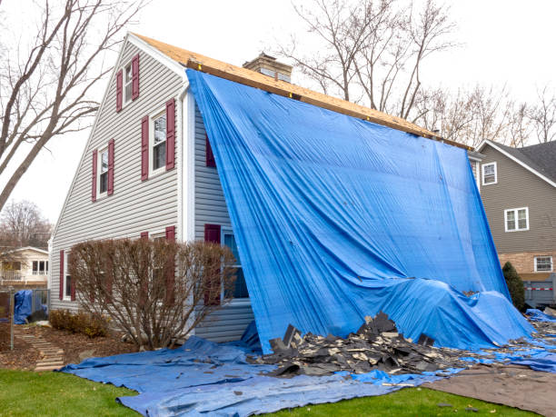 Best Fascia and Soffit Installation  in Lithopolis, OH